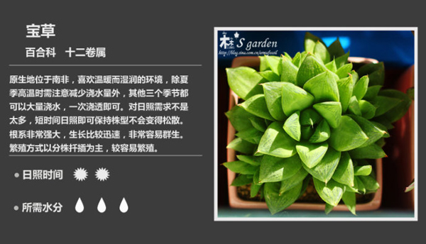 Atlas of 100 Common Plants