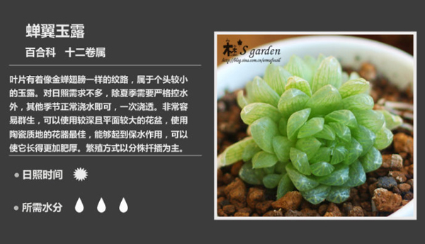 常见100 种植物图鉴